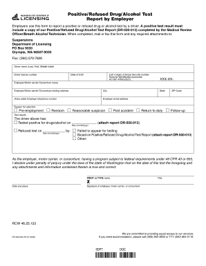 Alcohol Intoxication Report Format