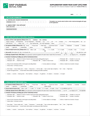Bnp Paribas Supplementary Ckyc Form