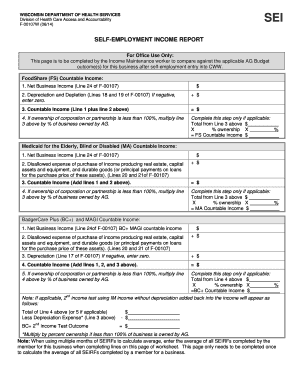 Wisconsin Self Employment Income Report Form