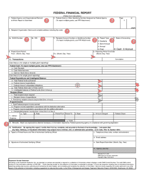 Sf 425 Form