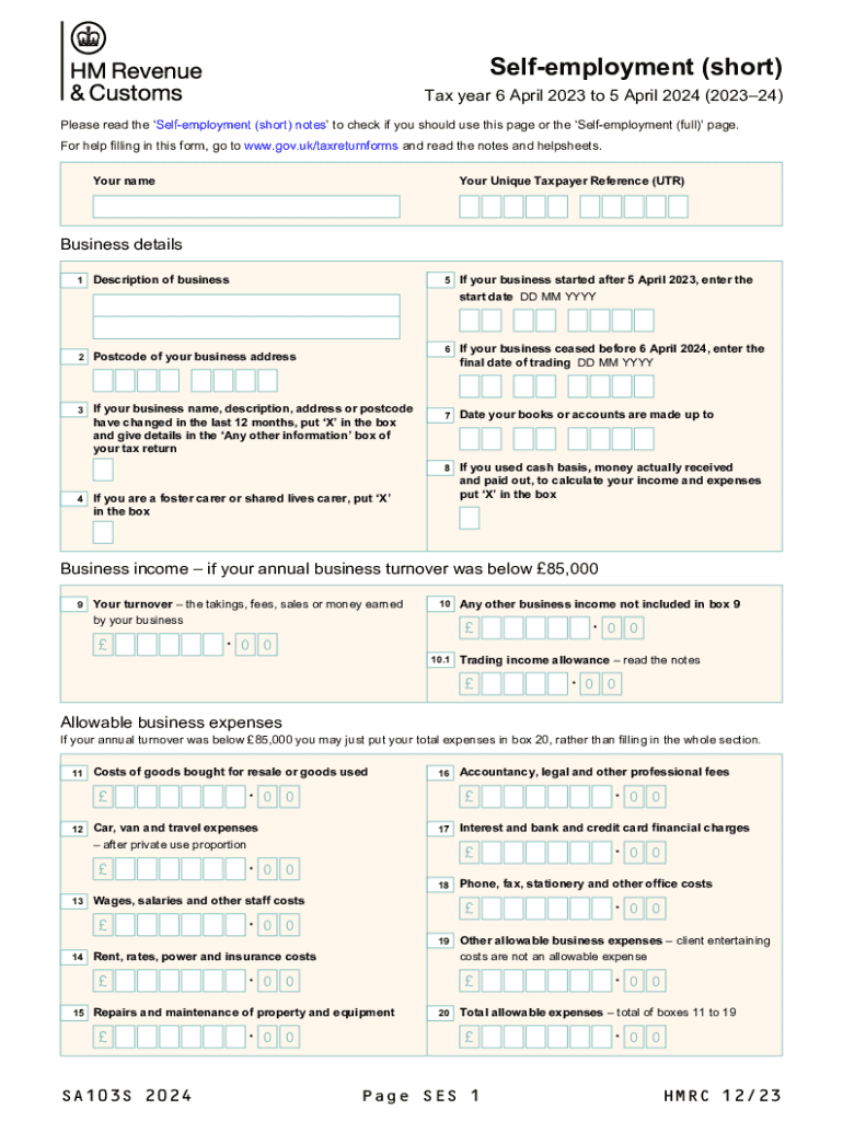  the Long Version of the Self Employment Page for Sole 2024