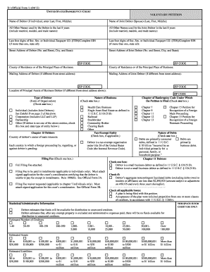 Bare Bones Chapter 13 Filing  Form