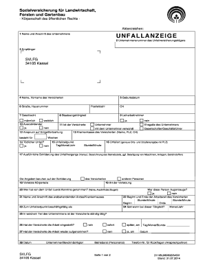 Svlfg Unfallanzeige  Form