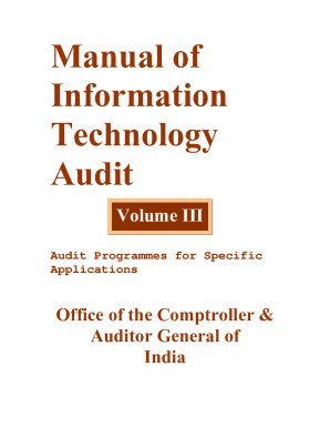 It Audit Manual Volume 3 PDF  Form