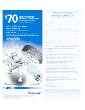 Michelin Rebate Form PDF