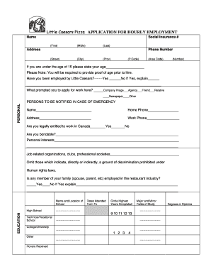 Little Caesars Pizza Application  Form