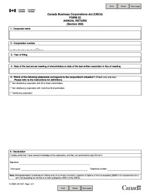 Form 22 Annual Return PDF