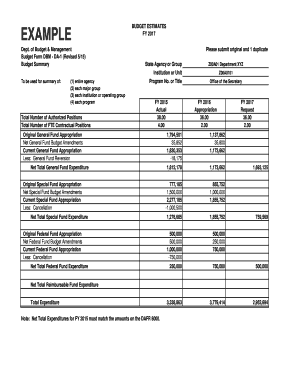 Budget Income and Expenditure Template for the Project in Word  Form