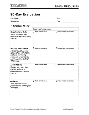 90 Day Evaluation  Form