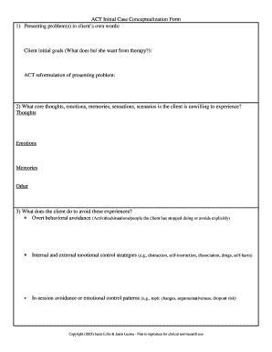 Case Conceptualization Example PDF  Form