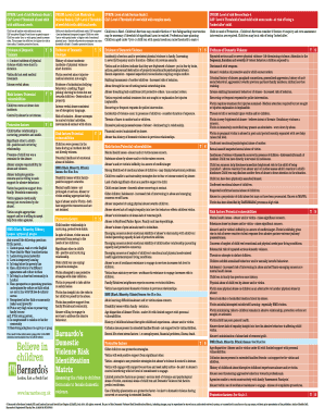 Violence Risk Matrix Form