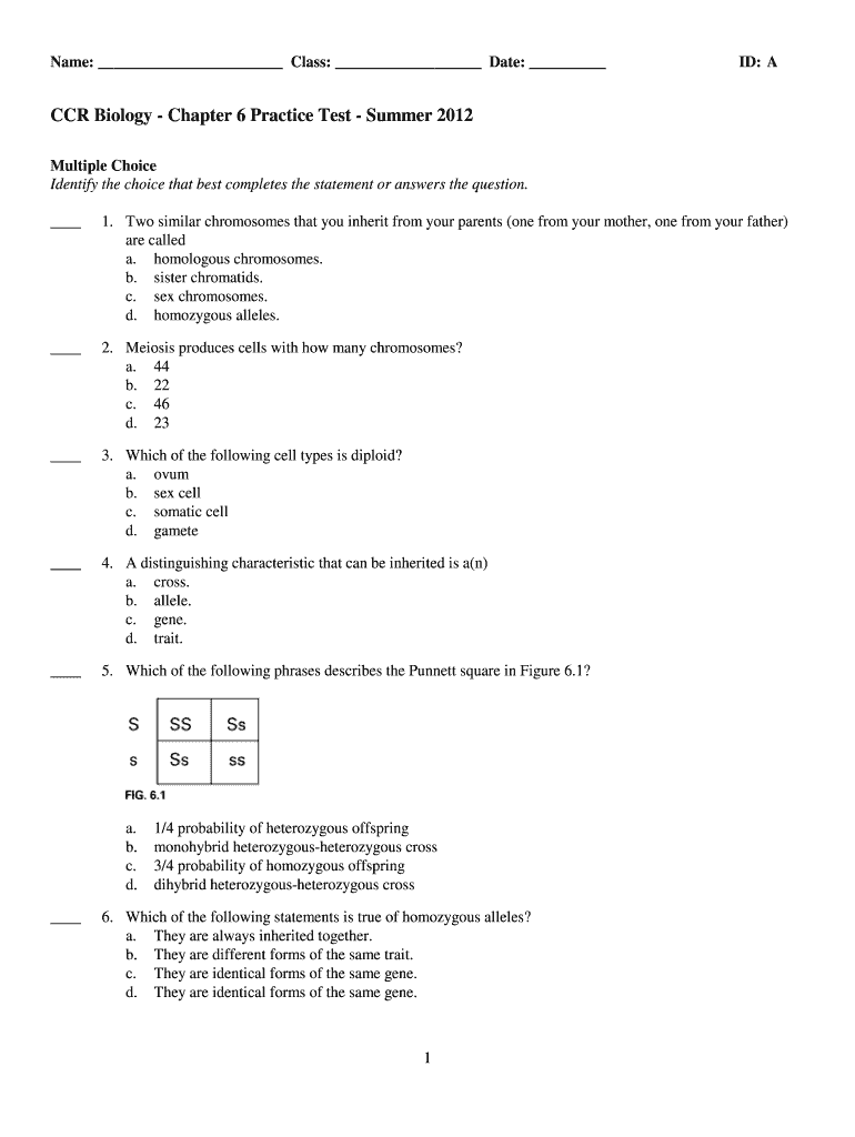  Chapter 6 Biology Test 2012-2024