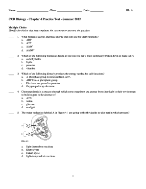 Chapter 4 Biology Test Answer Key  Form