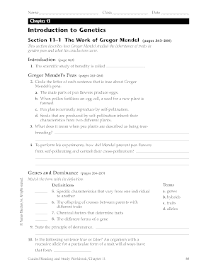 Chapter 11 Introduction to Genetics Graphic Organizer Answer Key  Form