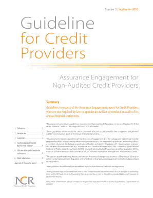 Ncr Assurance Engagement Report  Form