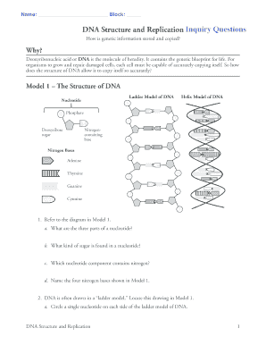 Pogil Dna Structure and Replication  Form