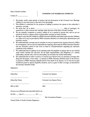 Sc Common Law Marriage Affidavit  Form