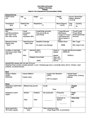 Head to Toe Assessment Documentation Guide  Form