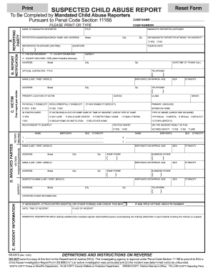 Scar Report  Form