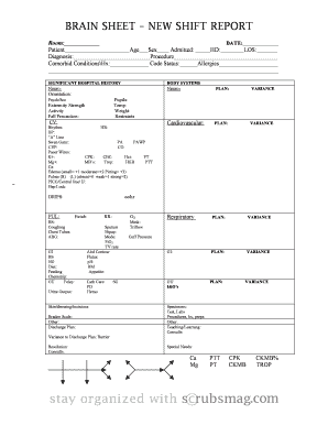 Report Sheet Template  Form