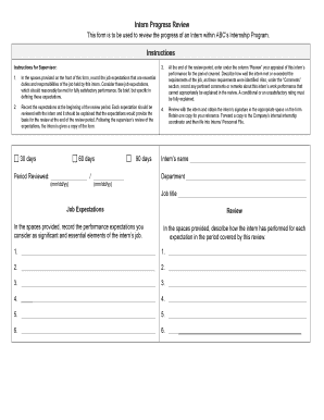 90 Day Review Form