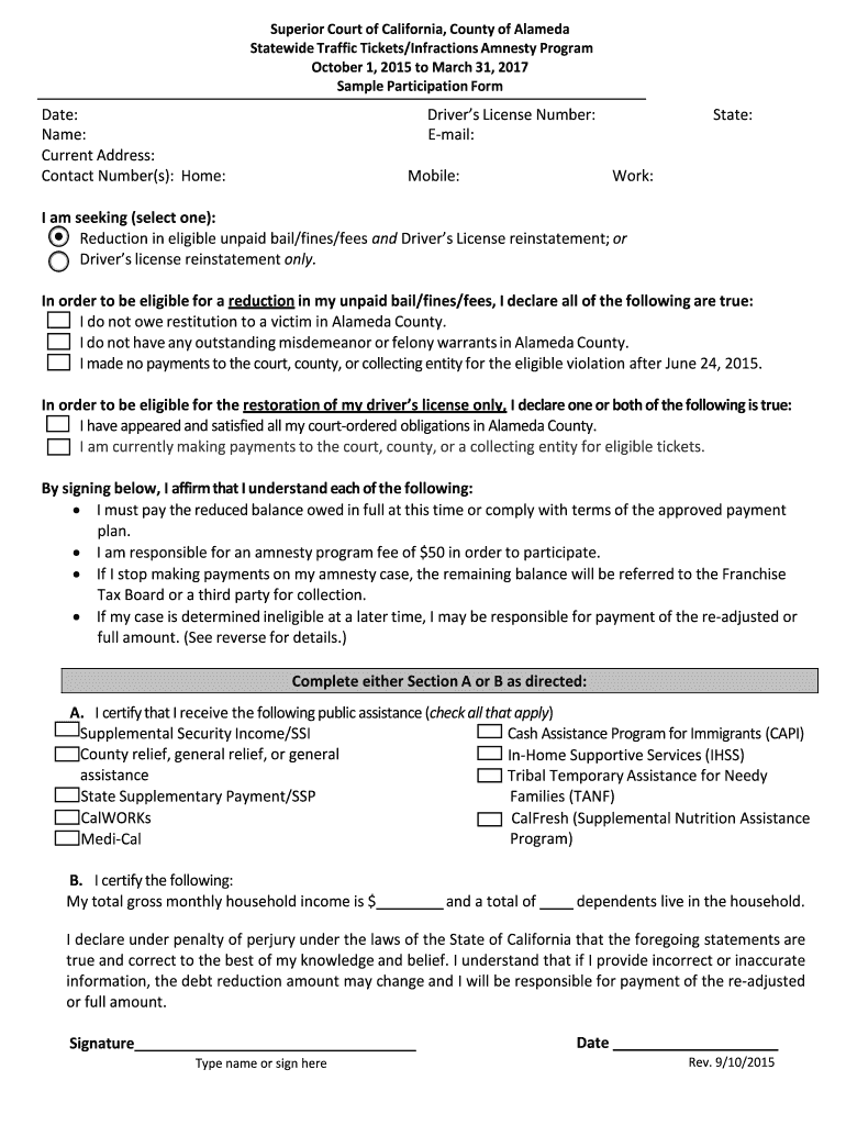  Amnesty Form 2015-2024