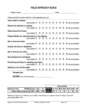 Falls Efficacy Scale  Form