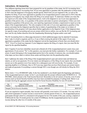 Nj Guardianship Ez Accounting Form