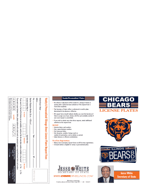 Chicago Bears Illinois  Form