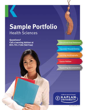 Work Portfolio Examples PDF  Form
