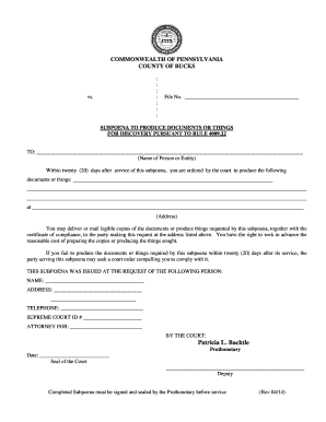 Subponea Request Document Bucks  Form