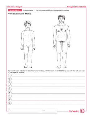 Dorner Verlag Arbeitsbl Tter Biologie L Sungen  Form