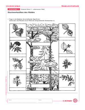 E Dorner Arbeitsbl Tter L Sungen Biologie  Form