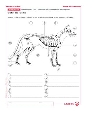 Hundeskelett Beschriften 5 Klasse  Form