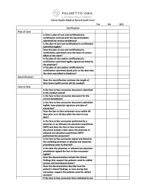 Medical Record Audit Form