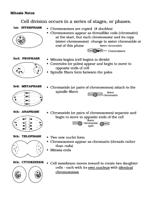 Mitosis Notes  Form