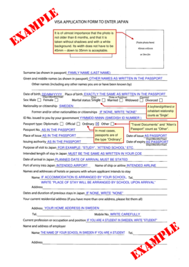 Japan Visa Application Form Sample