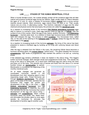 Stages of the Human Menstrual Cycle Lab Answer Key  Form