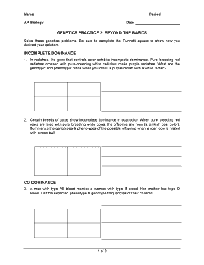 Genetics Practice 2 Beyond the Basics Form