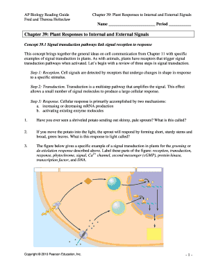 Chapter 39 Active Reading Guide Answers  Form