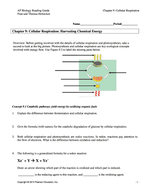 Ap Biology Reading Guide Fred and Theresa Holtzclaw Chapter 9  Form