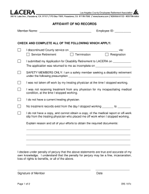 Affidavit of No Records Template  Form