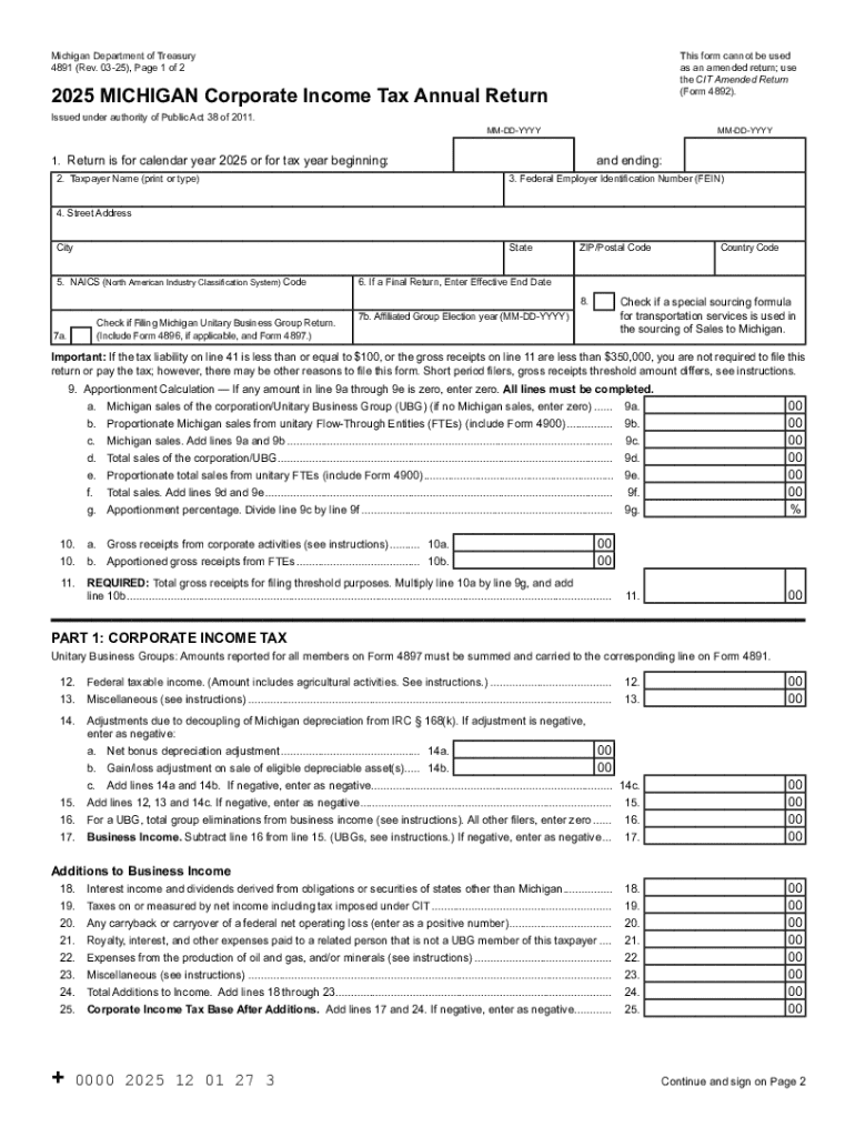 Instructions for Form 4891 Corporate Income Tax Annual