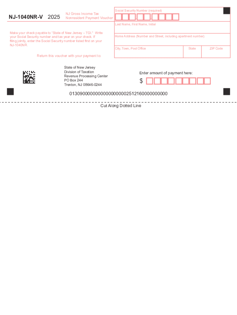 NJ 1040NR V Nonresident Payment Voucher  Form