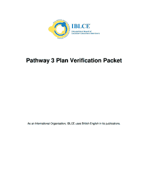 Sample Pathway 3 Ibclc Plan  Form