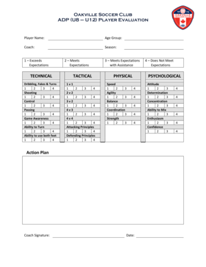 Soccer Tryout Evaluation Form