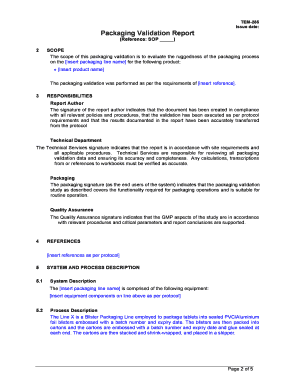 Packaging Validation Report Example  Form