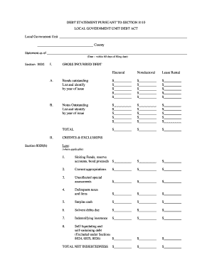 Debt Statement Pursuant to Section 8110  Form