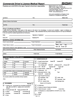 Sgi Medical Form