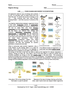 Regents Biology Food Chains and Energy in Ecosystems  Form